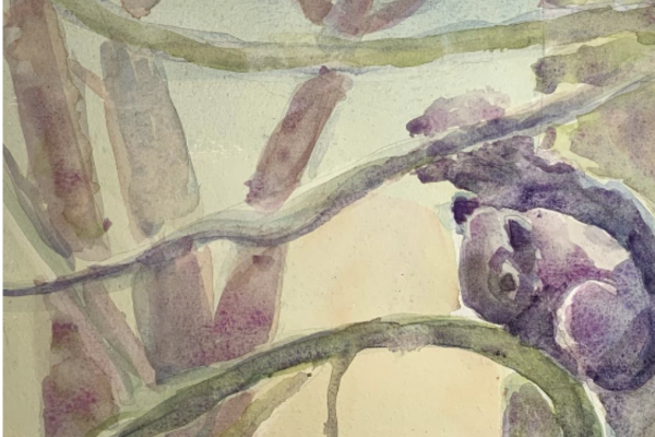 watercolor by author of a squirrel sitting on the branch of a tree